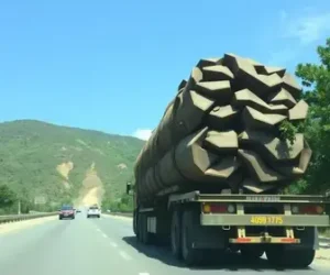 carga de 521 toneladas