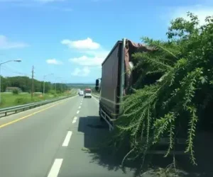 acidente na Fernão Dias