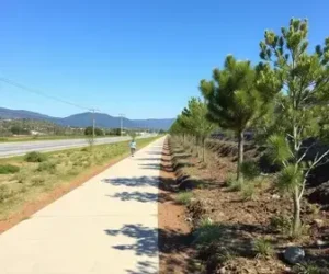nova passarela na Fernão Dias